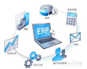 ERP軟件開發(fā)的利與弊 深度剖析
